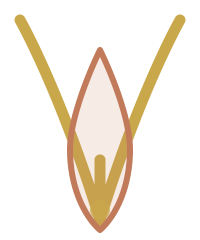 Valmentia
